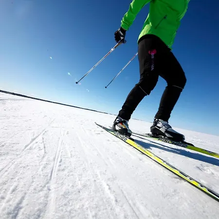 Lomahuoneistot Pajunkissa A Ja B Apartament